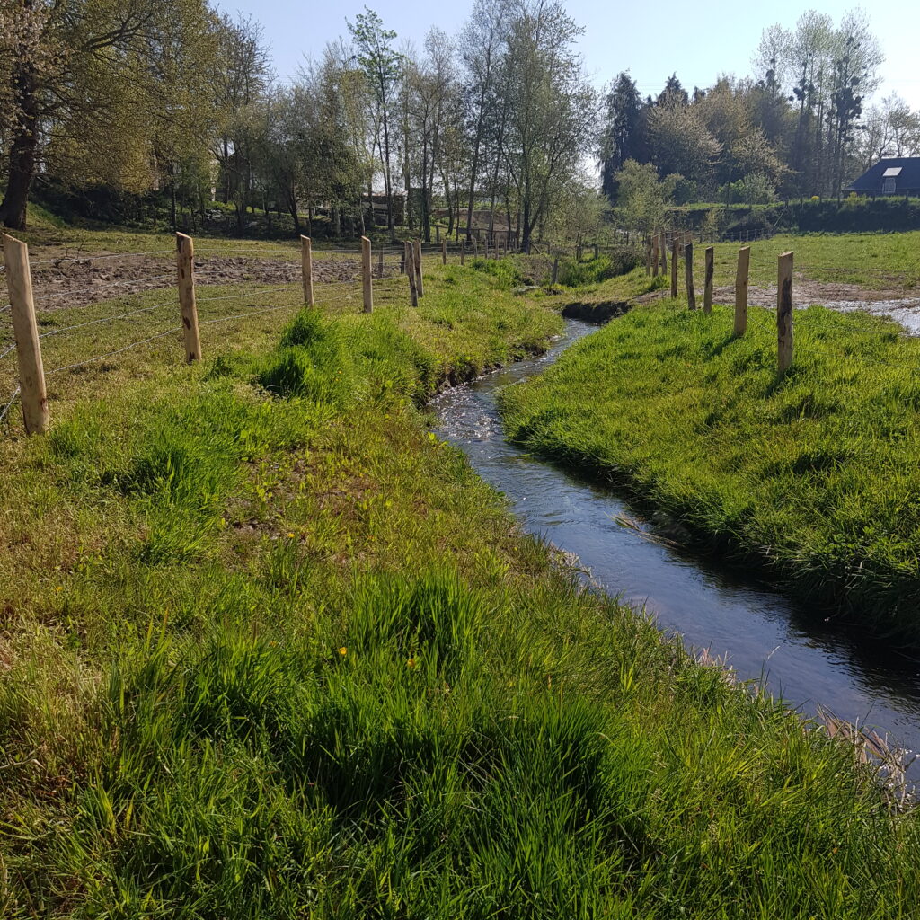 jolie cours d'eau, ruisseau avec méandre, radiers et fosses pour les truites. Restauré par un bureau d'études Hydros Solutions en bretagne ille et vilaine